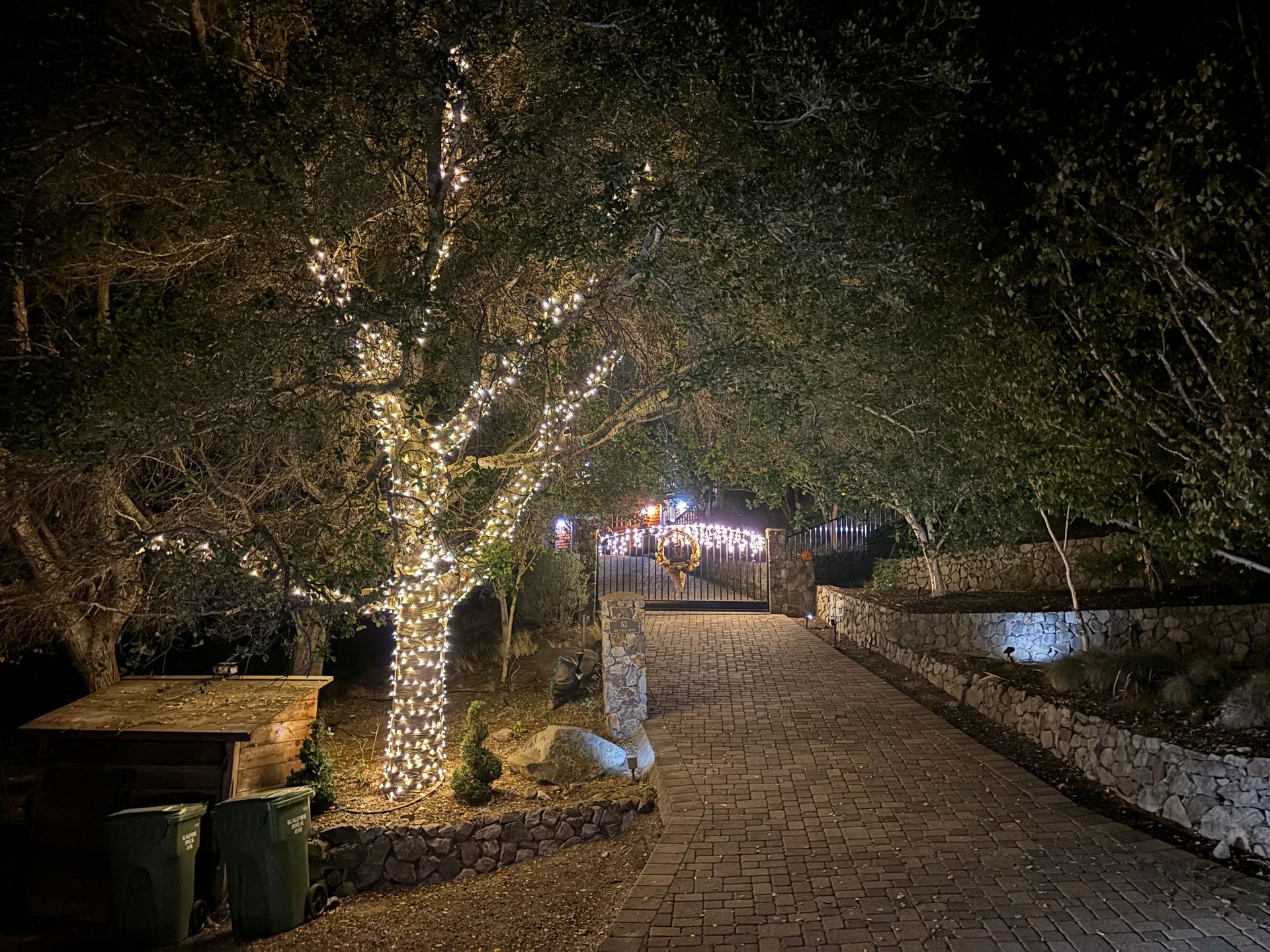 Alex's Holiday Lighting: Bay Area’s Premier Holiday & Permanent Lighting Specialists 1